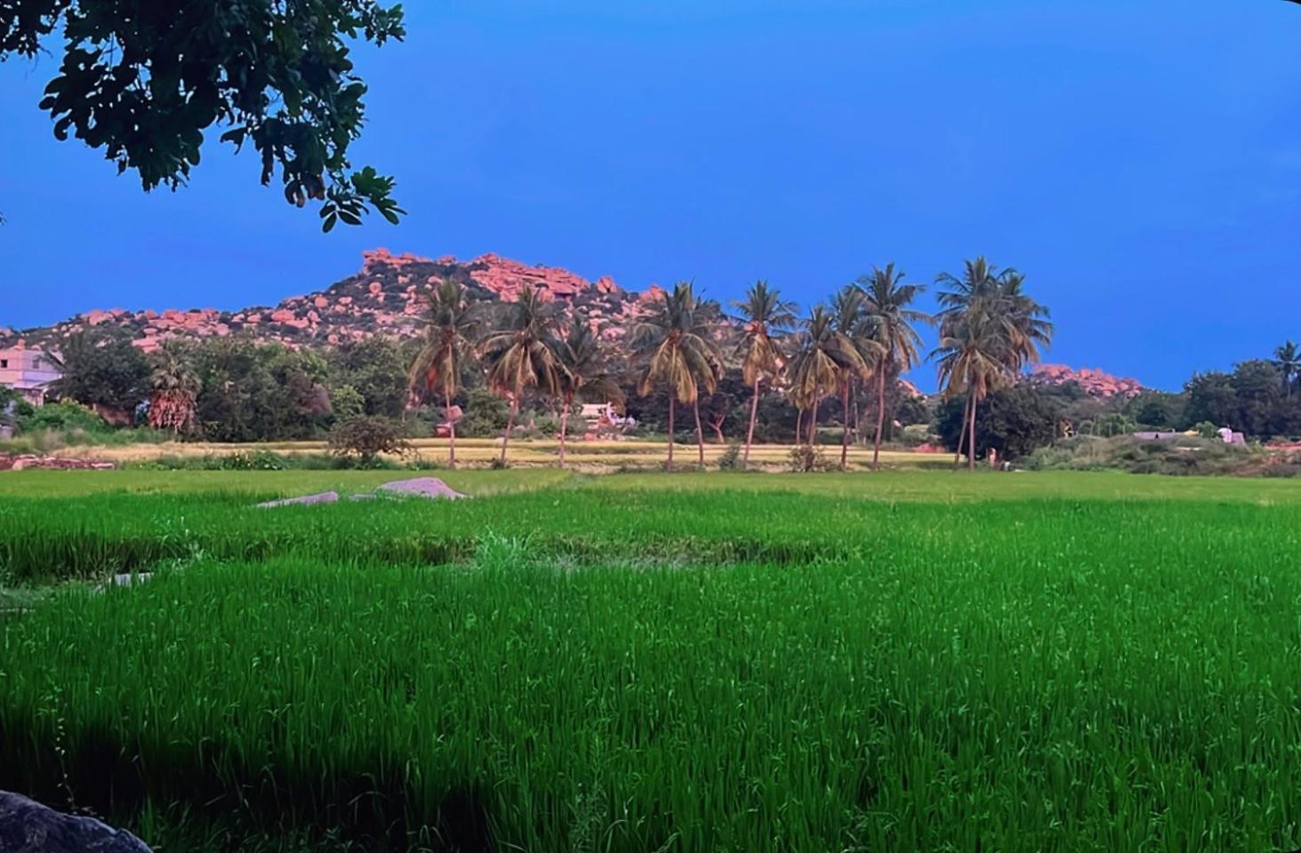 Sunrise Guest House & Restaurant Hampi Kültér fotó